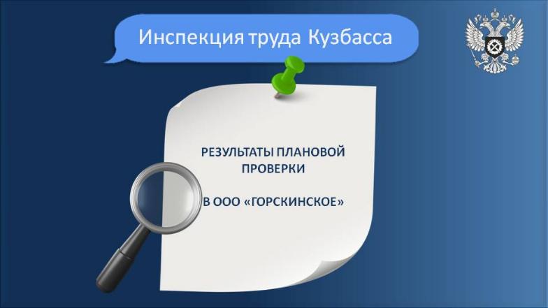 Результаты проверки ООО "Горскинское" 